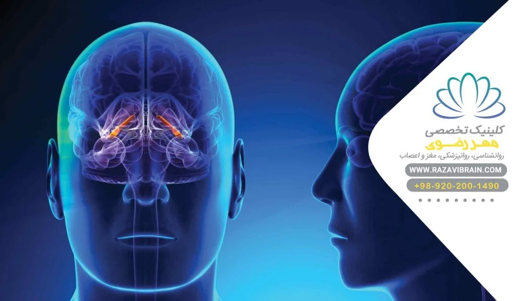 تعداد جلسات تحریک الکتریکی مغز