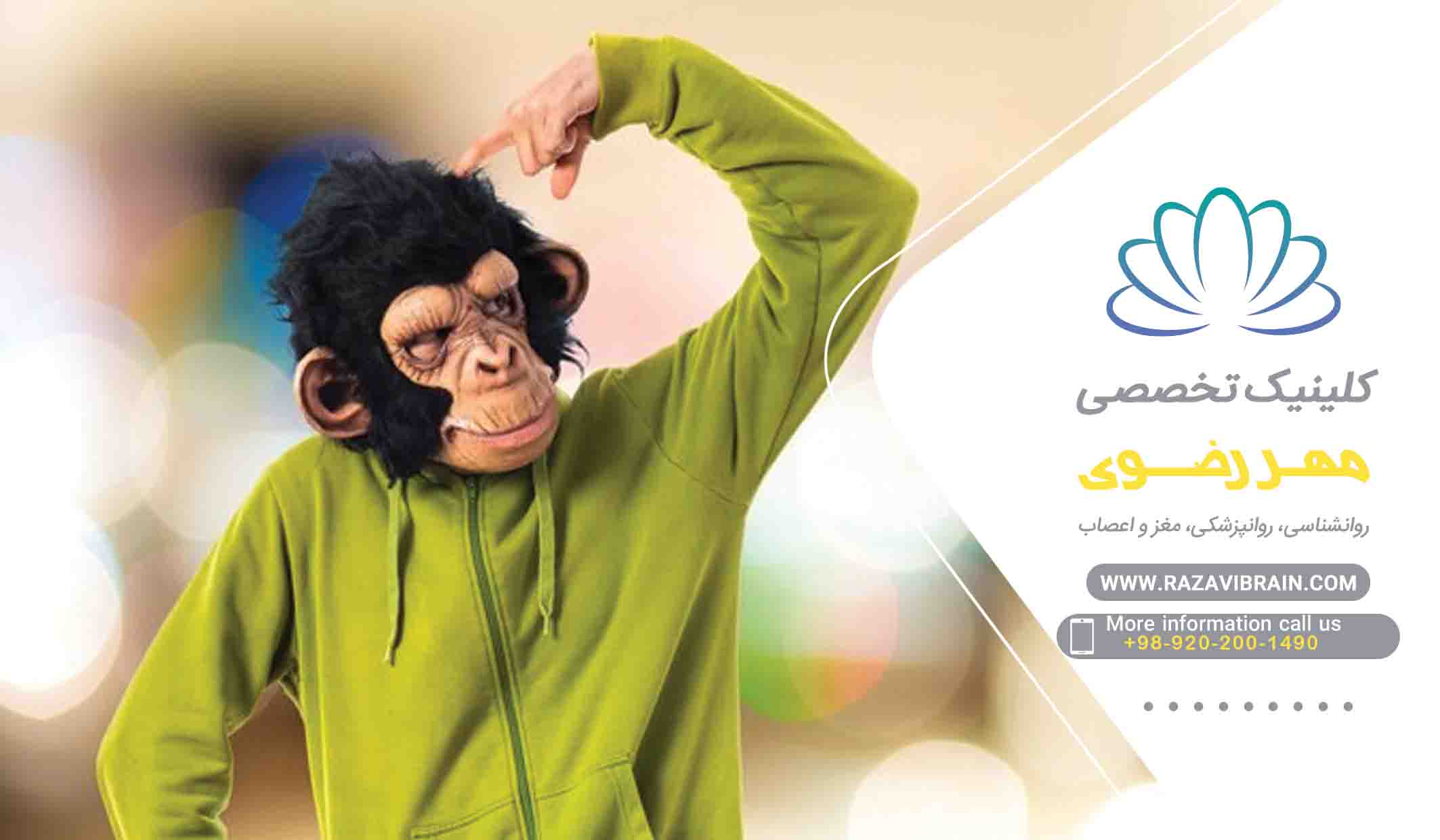 ذهن میمونی