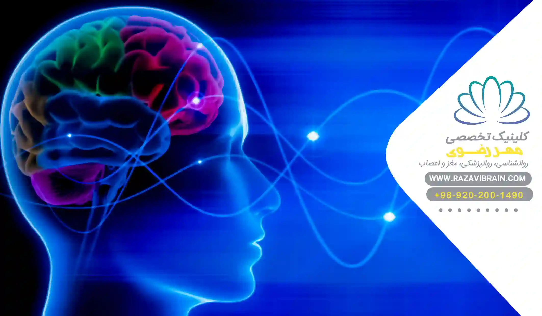 Types of brain waves معرفی انواع امواج مغزی
